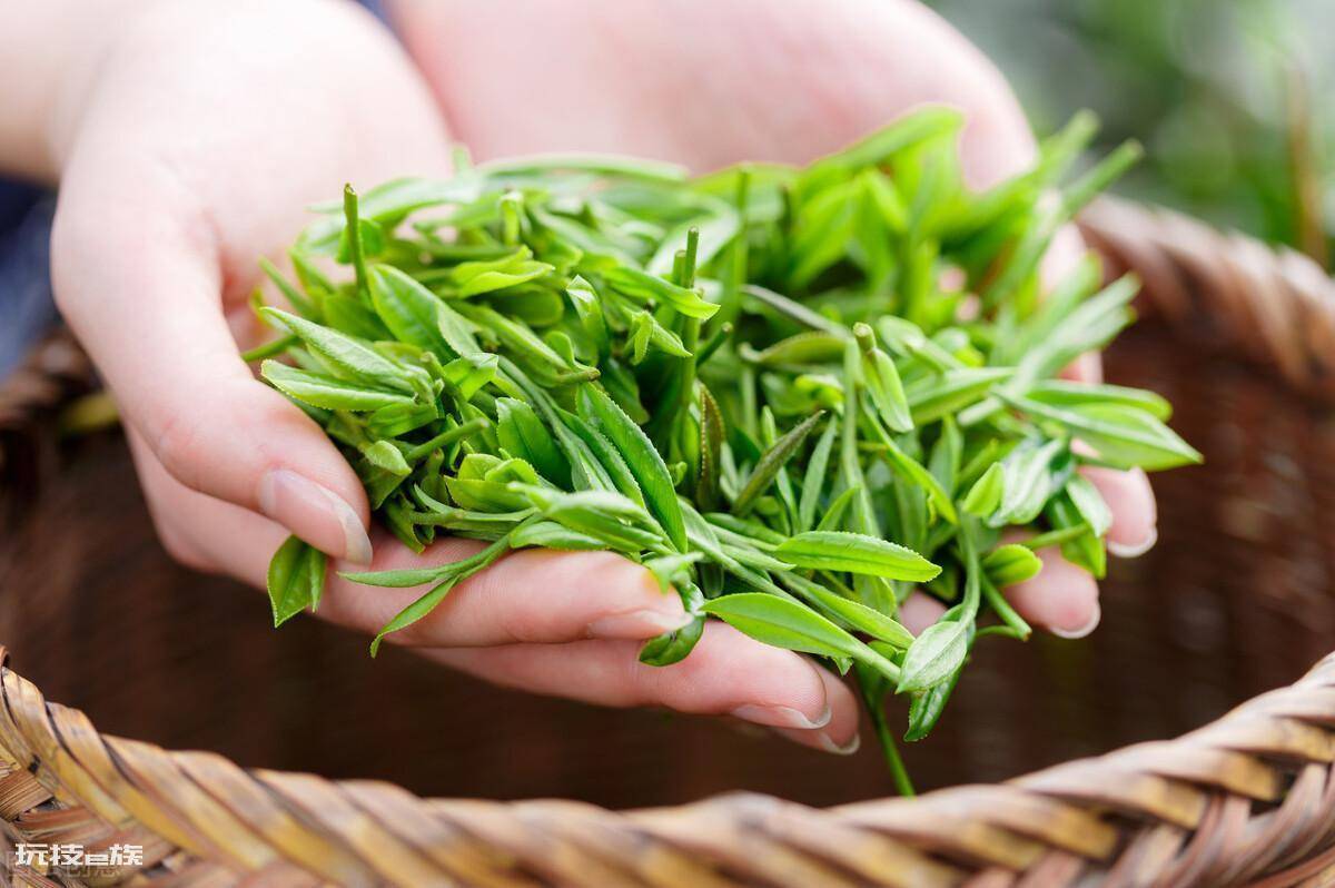 香茗与茶有什么区别图片(所谓香茗茶属于什么茶类)-图片3